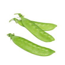 2021 New Harvest Hot Selling Good Chinese Fresh Green Sugar Snap Pea